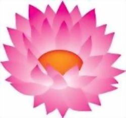 Chakra Meditation: Heart Center Lotus
