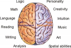 brain regions and functions