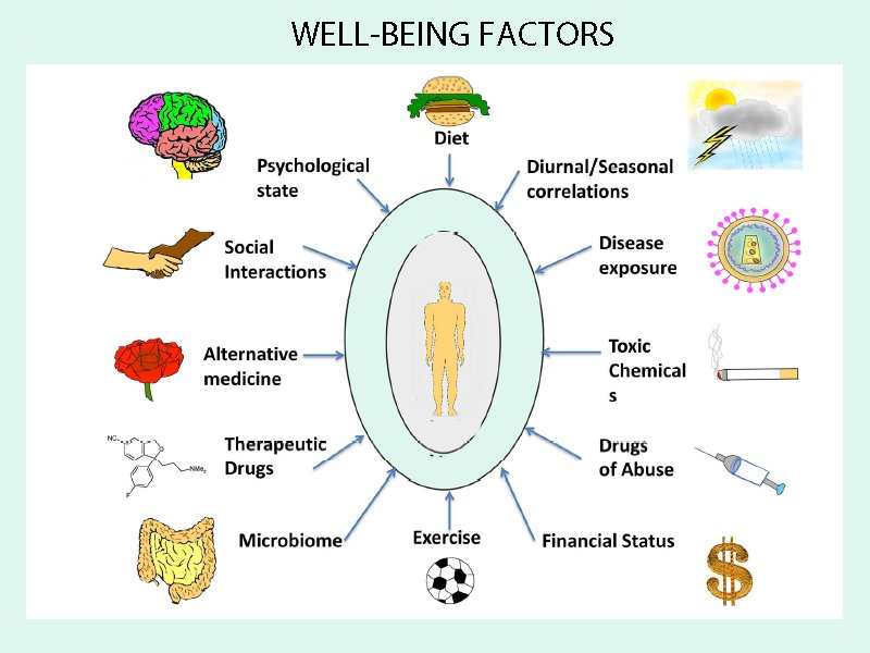 Wellbeing Factors