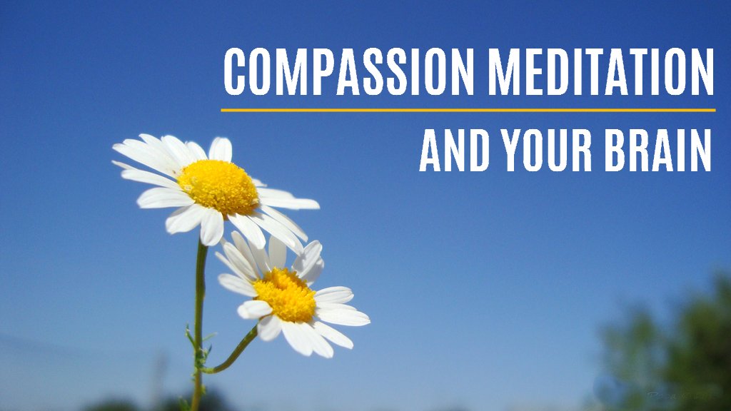 Compassion Meditation and Your Brain