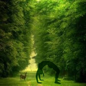 Nature Yoga