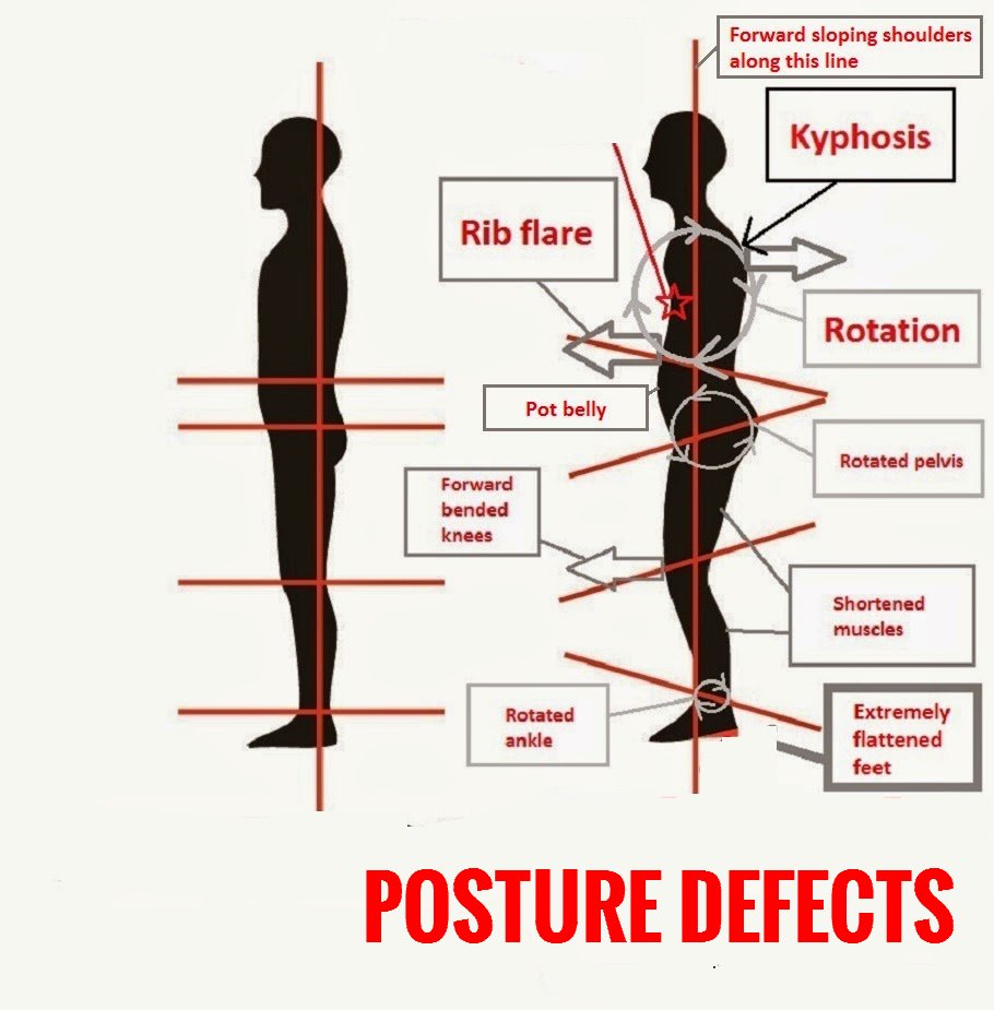 Six Posture Correction Yoga Poses - Inner Light Publishers