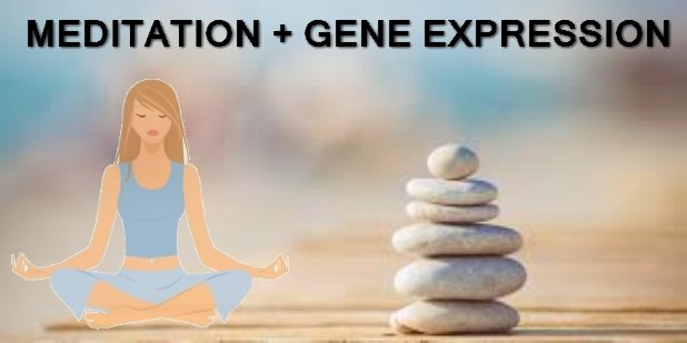 meditation_to_alter_gene_expression